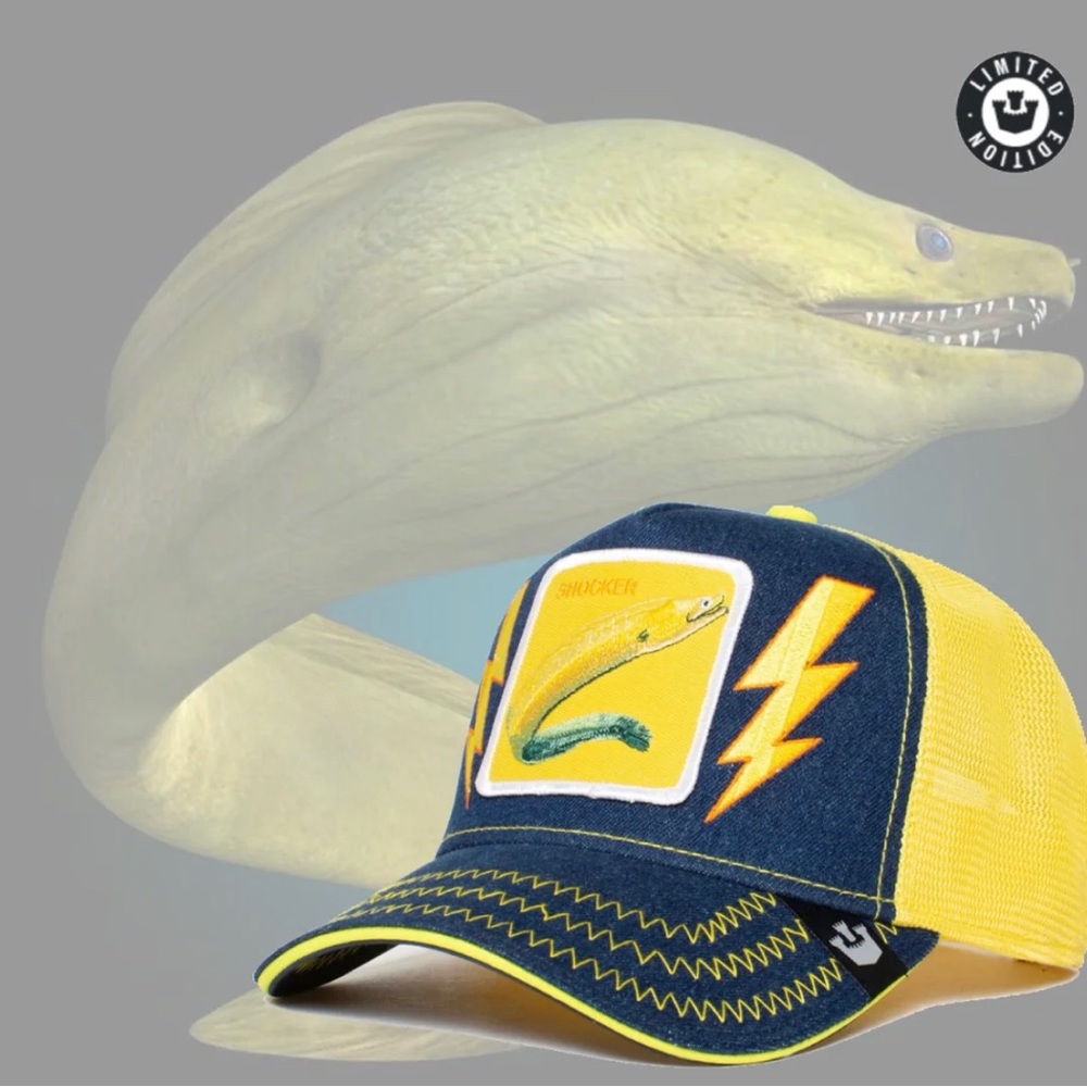 Goorin Bros - SHOCKER “ Limited Edition”